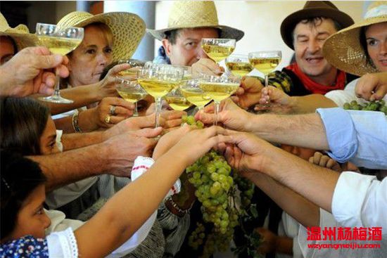 葡萄酒節(jié)日